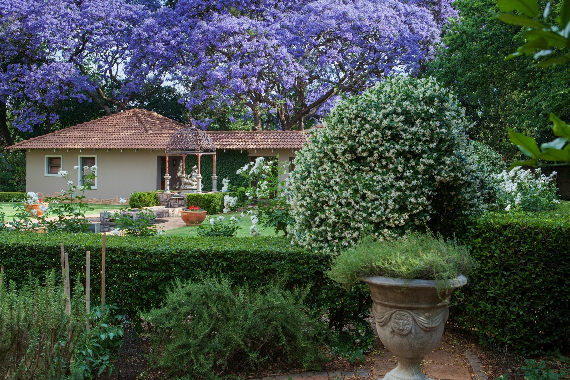 ヨハネスブルグ 58 On Hume Bed & Breakfast エクステリア 写真